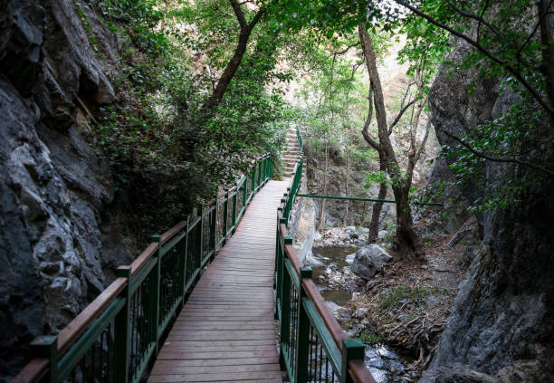 istock A bridge walk from Millomeris fall back to the car park, Platres, central Cyprus 865294970