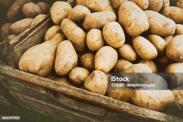 Potatoes At The Vegetable Market Stock Photo - Download Image Now - Prepared Potato, Harvesting, Crate