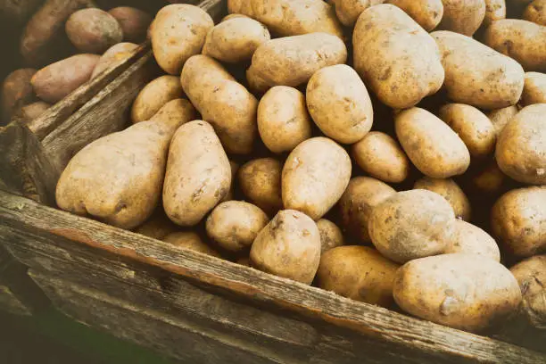 Potatoes at the vegetable market