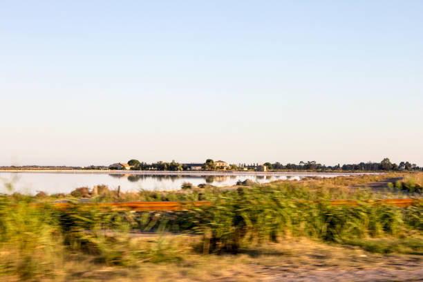Typical landscape of Ile de Ré, with a bike lane in the foreground. France.