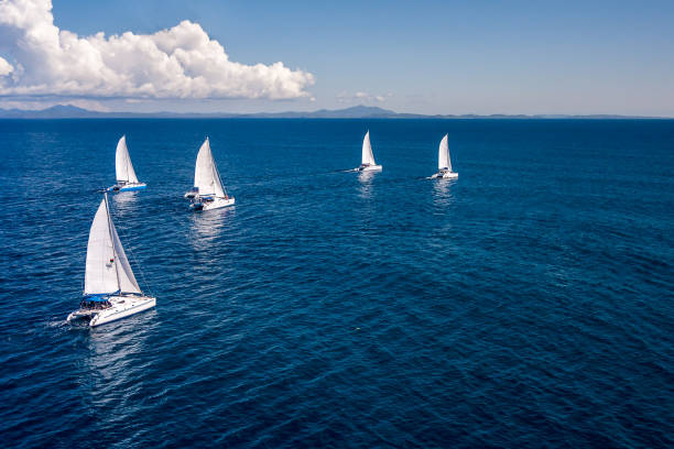 レガッタ - sailing sailboat regatta teamwork ストックフォトと画像