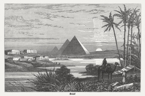 пирамиды гизы во время наводнения нила, опубликованные в 1882 году - египет иллюстрации stock illustrations