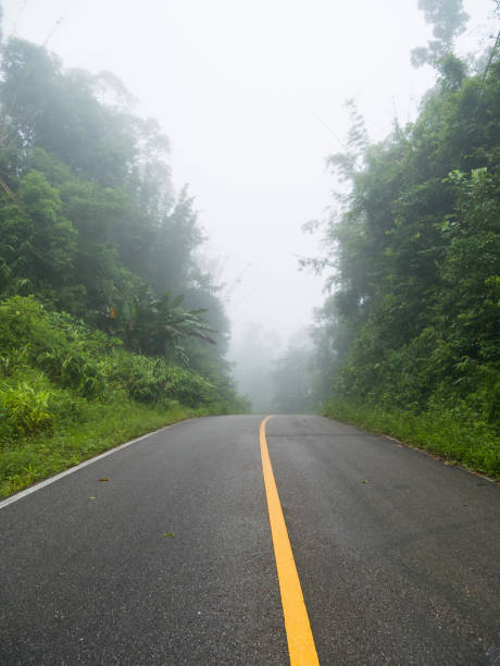 istock the road into the fog 865310038