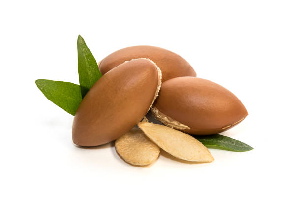 istock Argan seeds, for the production of oil. 865310960