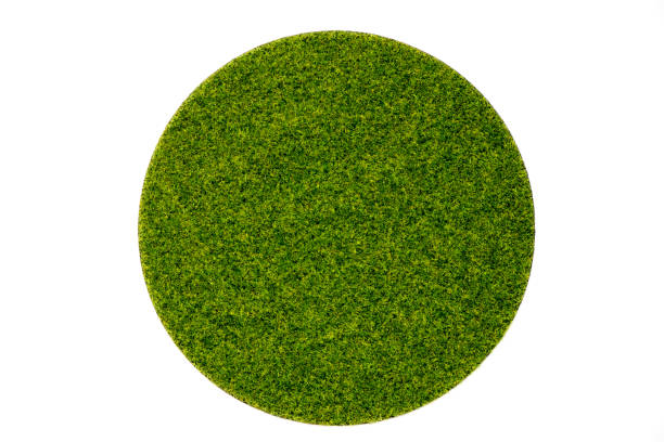 istock Artificial green grass in round plate on white background 865313318