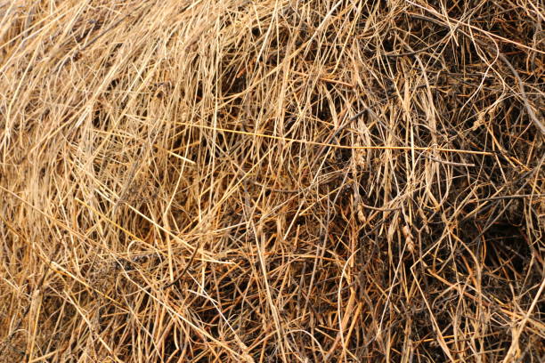 istock a haystack on a stretch in the old village 865316572