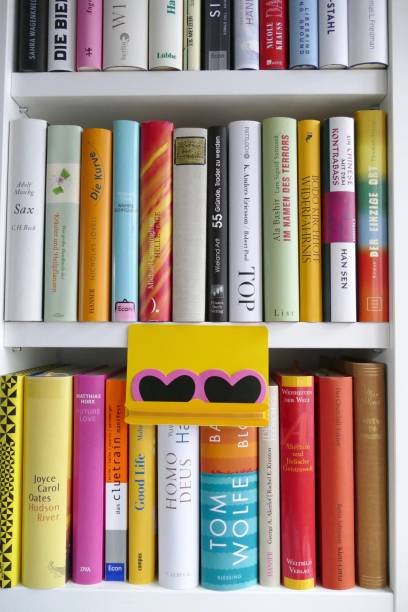 istock Organizing the Ibrary: shelves fully packed and some highlighted with hearts 865316990