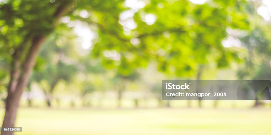 Verschwommene Park mit Bokeh Licht, Natur Hintergrund, Banner, fallen, Herbst - Lizenzfrei Unscharf gestellt Stock-Foto