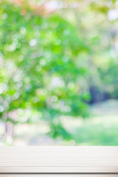 istock Empty white wood table over blurred tree with bokeh background, for product display montage 865320376
