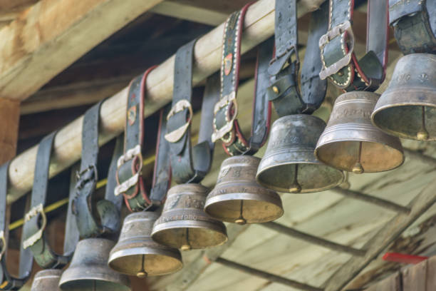 istock Many cow bells in a row - simmental 865323676