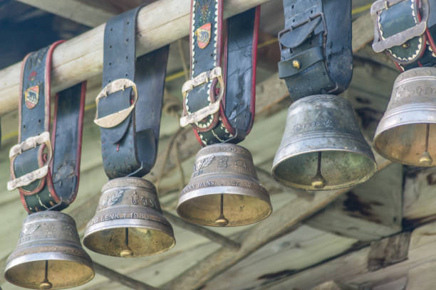 istock Many cow bells in a row - simmental 865324448