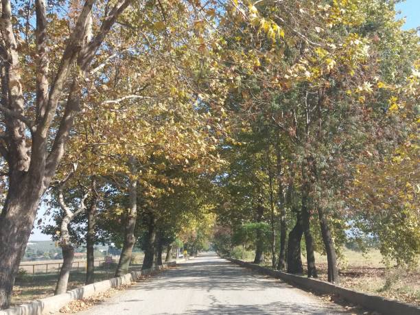 istock Autumn photographs 865327846