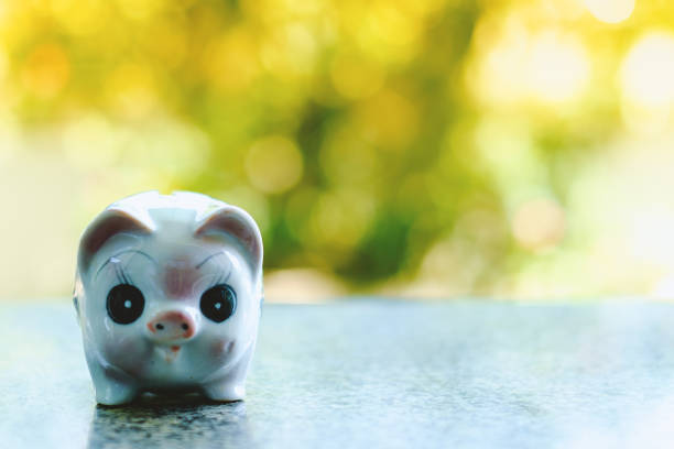 istock Piggy bank on blurred natural background 865331656