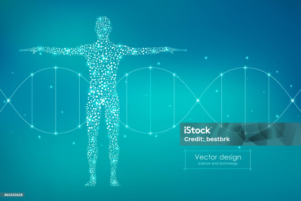 Abstract human body with molecules DNA. Medicine, science and technology concept. Vector illustration Abstract human body with molecules DNA. Medicine, science and technology concept. Vector illustration. The Human Body stock vector