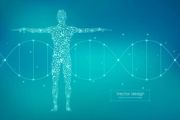 Abstract human body with molecules DNA. Medicine, science and technology concept. Vector illustration Abstract human body with molecules DNA. Medicine, science and technology concept. Vector illustration. elementary particle stock illustrations