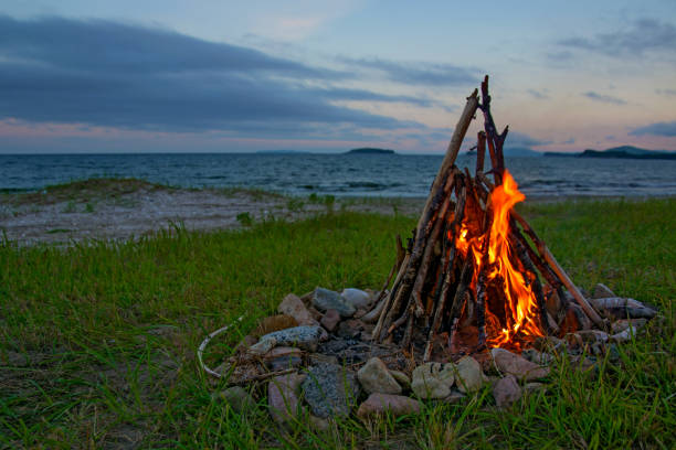 istock fire burning on the beach at night. bright fire, firewood. 865339436