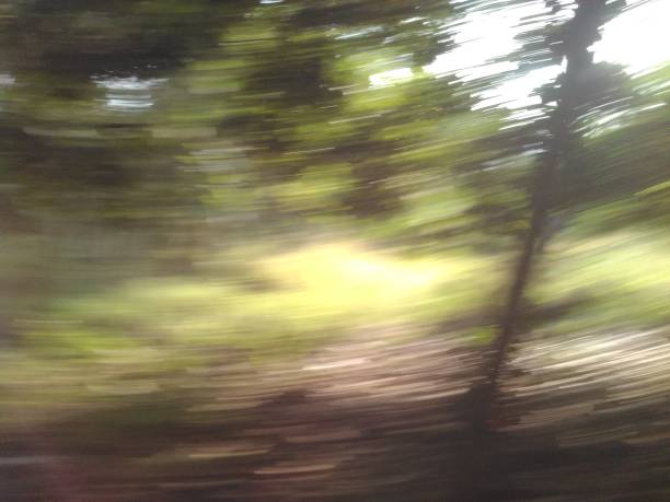 istock Green of nature in motion 865339586