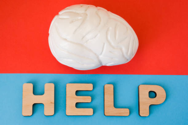 istock Brain with Help word. Anatomical model of human brain is on red background, below letters that make word Help on blue background. Medical care, diagnosis, treatment for human organ 865342898