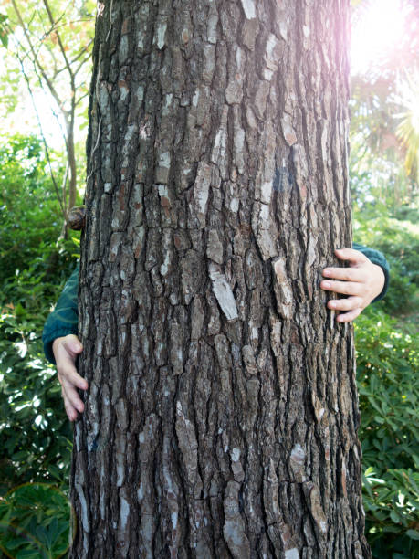 istock Protect and save nature.Huging a tree.Love and protect the environment 865351854