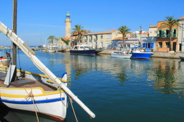 istock Grau du roi in Camargue, France 865352614