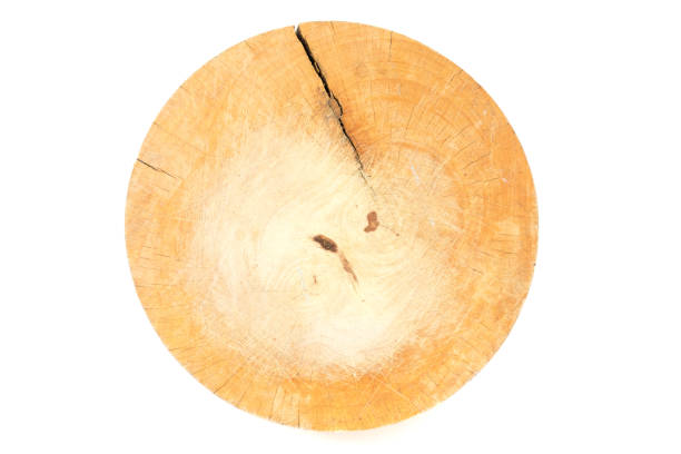 istock used wooden chopping board made from tree stump 865352946