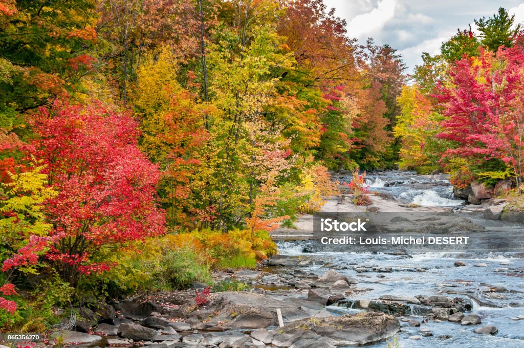 Canada à l’automne - Photo de Arbre libre de droits