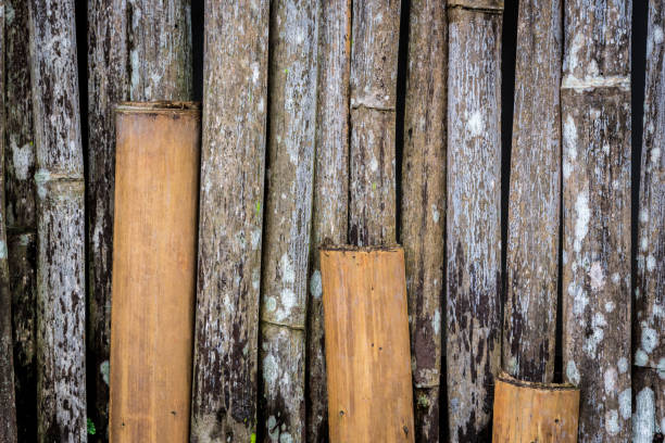 Grunge bamboo wall with green-white mold stock photo
