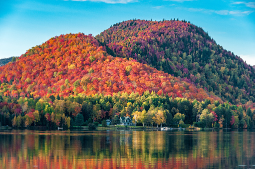Canadá en el otoño photo