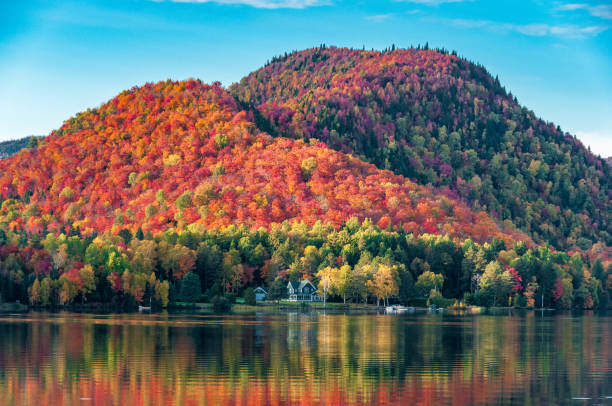 Canada in fall The hills covered with red maple forests behind a wooden house on the shore of a lake in Quebec, on a beautiful autumn evening. quebec photos stock pictures, royalty-free photos & images