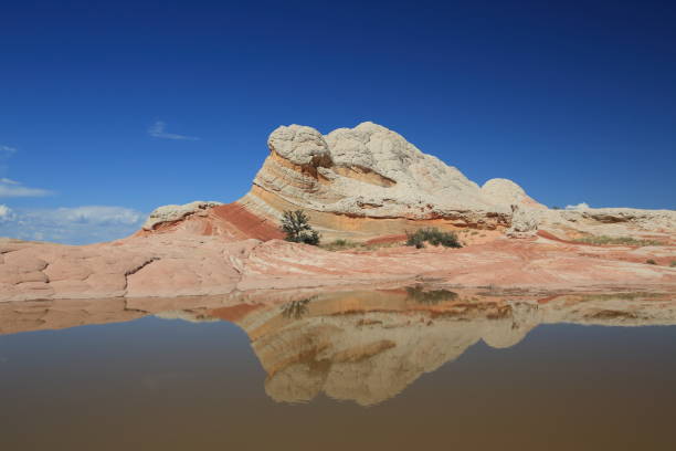 istock White Pocket in the Vermilion Cliffs National Monument, Arizona 865360036
