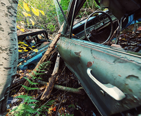 1960's cars piled in a long forgotten junkyard.