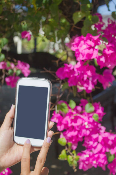 Using Smart Phone Outside the office building.  (Clipping path inside)