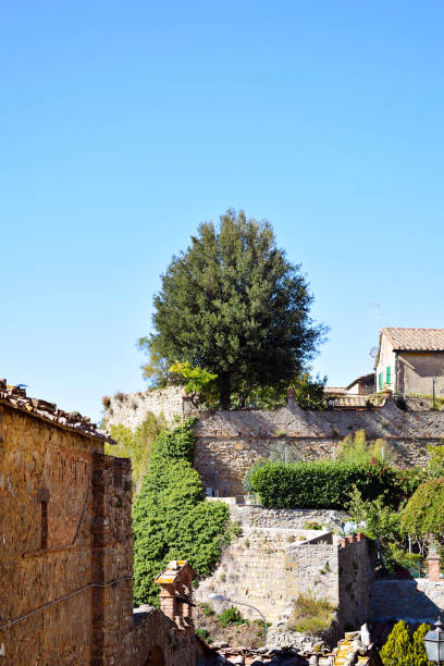 istock Streets & vegetation in Volterra, Italy. 865378474