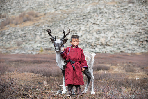 Little Tsaatan boy in traditional deel posing with a baby reindeer. Khuvsgul, Mongolia.