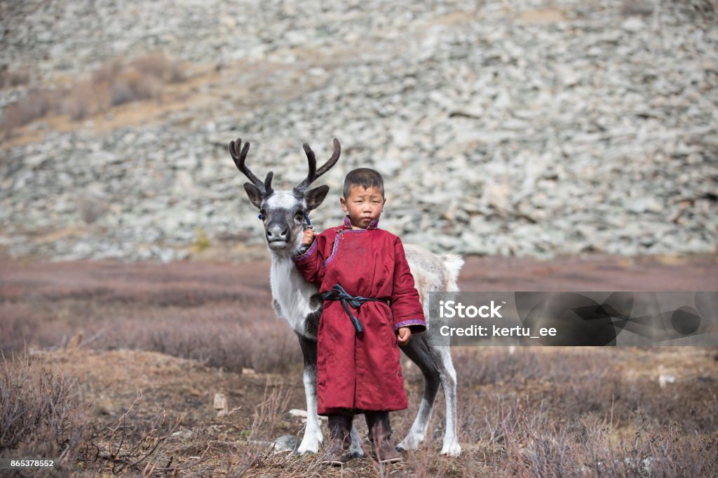 Little Tsaatan boy with a reindeer. Little Tsaatan boy in traditional deel posing with a baby reindeer. Khuvsgul, Mongolia. Independent Mongolia Stock Photo