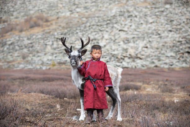 Little Tsaatan boy with a reindeer. Little Tsaatan boy in traditional deel posing with a baby reindeer. Khuvsgul, Mongolia. mongolian ethnicity stock pictures, royalty-free photos & images