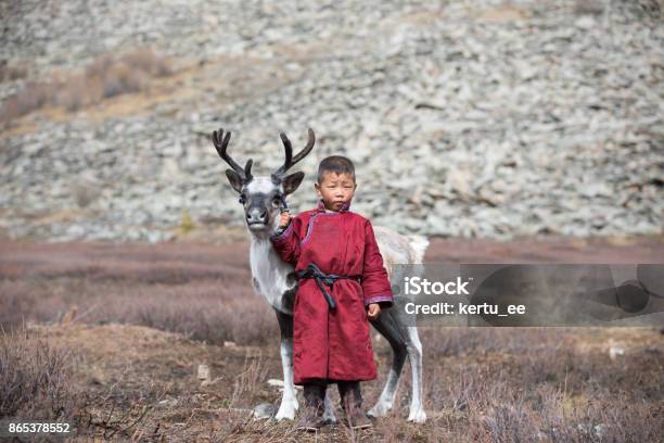 Little Tsaatan Boy With A Reindeer Stock Photo - Download Image Now - Independent Mongolia, Mongolian Ethnicity, Reindeer