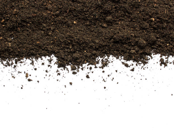 istock Dirty earth on white background. Natural soil texture 865379142