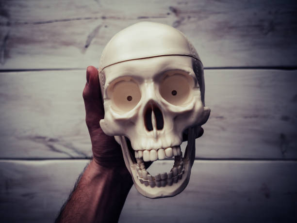 mano maschile che tiene in aria un teschio umano. tavolo in legno sullo sfondo. - skull holding spooky horror foto e immagini stock