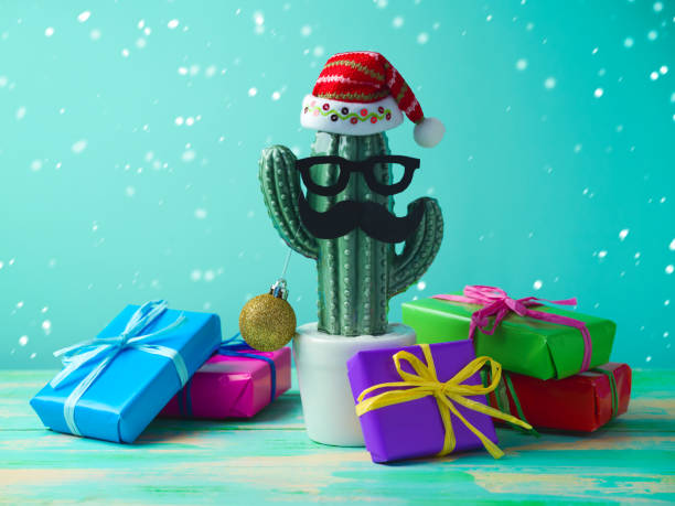 istock Christmas in tropical climate concept 865385332