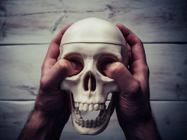 Brutally Holding A Human Skull In The Air Wooden Table In The Background  Stock Photo - Download Image Now - iStock