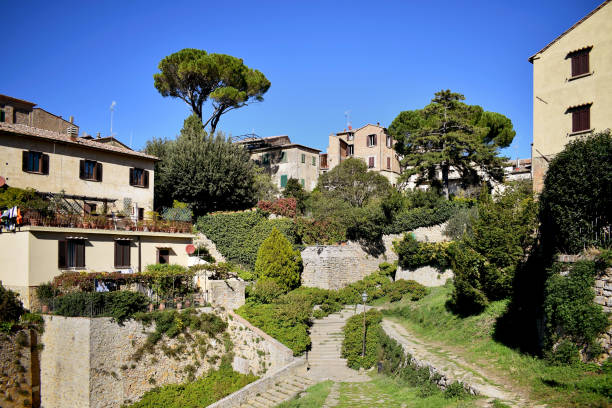 istock Streets & vegetation in Volterra, Italy. 865386038