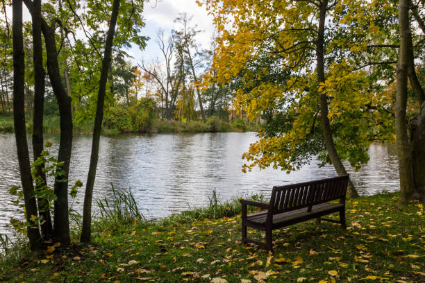 istock autumn colors in the park 865388862