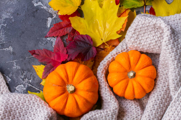 istock Thanksgiving pumpkins with fall leaves 865393072