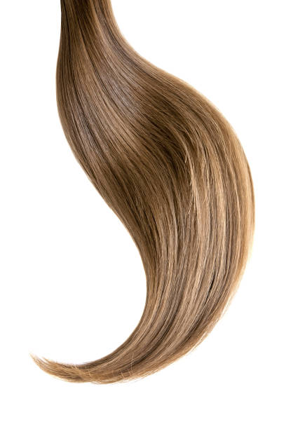 istock Natural hair on a white background 865393158