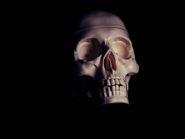 istock Single human skull in the darkness. 865396338