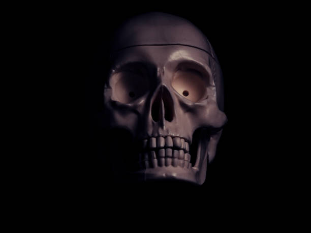 istock Single human skull in the darkness. 865398924