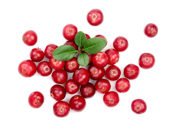istock Cranberry with leaf isolated on white background closeup top view 865399490