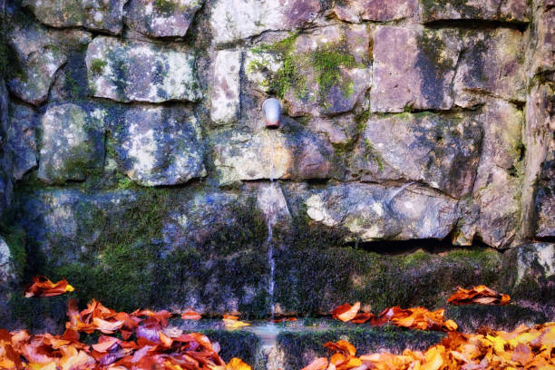 kaesbrunnen fountain near heidenheim an der brenz in the autumn forest - well fountain water pipe pipe imagens e fotografias de stock