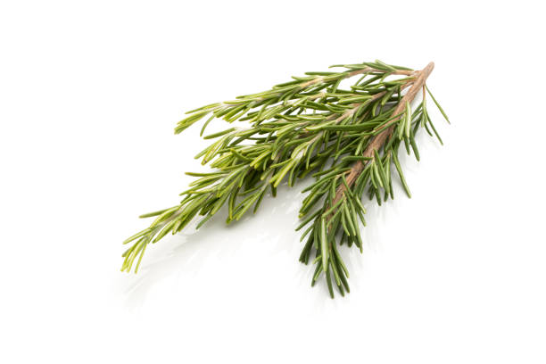 istock Branch of Fresh Rosemary on White Background 865400268